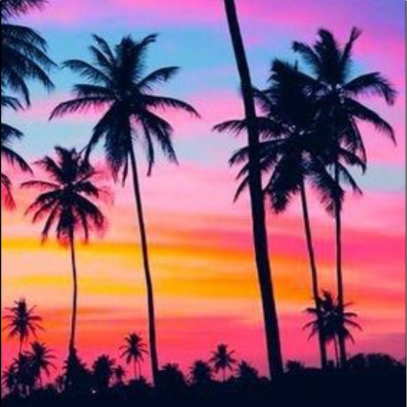 POP IN CHECK IT - Picture 5 of 16